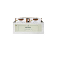Buzzy Seeds Assorted Herbs Gift Box Planter 4 pk