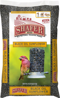 Shafer Black Oil Sunflower