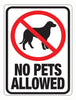 Hy-Ko English No Pets Allowed Sign Plastic 12 in. H x 9 in. W (Pack of 10)