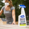 Motsenbocker's Lift Off Graffiti Remover 22 oz (Pack of 6)