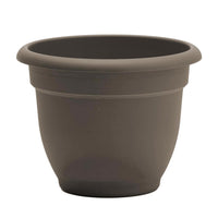 Bloem Ariana 13.75 in. H X 17.75 in. W X 16 in. D Plastic Traditional Planter Peppercorn
