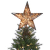 Celebrations Christmas Star Tree Topper Assorted Plastic 8.5 inch 1 pk (Pack of 6)