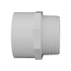 Charlotte Pipe Schedule 40 2 in. Slip X 2 in. D MPT PVC Pipe Adapter 1 pk