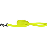 Carnival Biothane Dog Lead