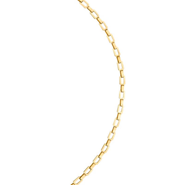 Koch Industries 1/0 in. Oval Link Brass Chain 0.177 in. D X 10 ft. L - Open Box