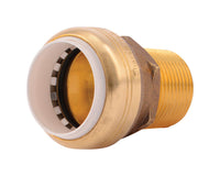 SharkBite Push to Connect 1 in. IPS X 1 in. D IPS Brass Connector