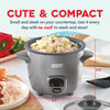 Dash Gray 2 cups Rice Cooker - Deal of The Week