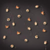 Celebrations LED Micro Dot/Fairy Clear/Warm White 20 ct Novelty Christmas Lights 6.2 ft. (Pack of 12)
