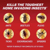 Ortho Home Defense Insect Killer 1 gal. (Pack of 4)