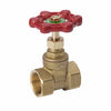 Homewerks 1 in. FIP Brass Gate Valve