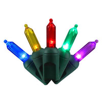 Celebrations LED T5 Multicolored 50 ct String Christmas Lights (Pack of 12)