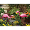 Bloem Mingo Pink Plastic/Resin 20.4 in. H Flamingo Outdoor Decoration