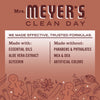 Mrs. Meyer's Clean Day Gingerbread Scent Liquid Dish Soap 16 oz 1 pk (Pack of 6)