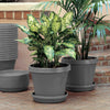 Bloem Terra 1.75 in. H X 9.25 in. W X 8 in. D Resin Traditional Plant Saucer Charcoal - Deal of The Week
