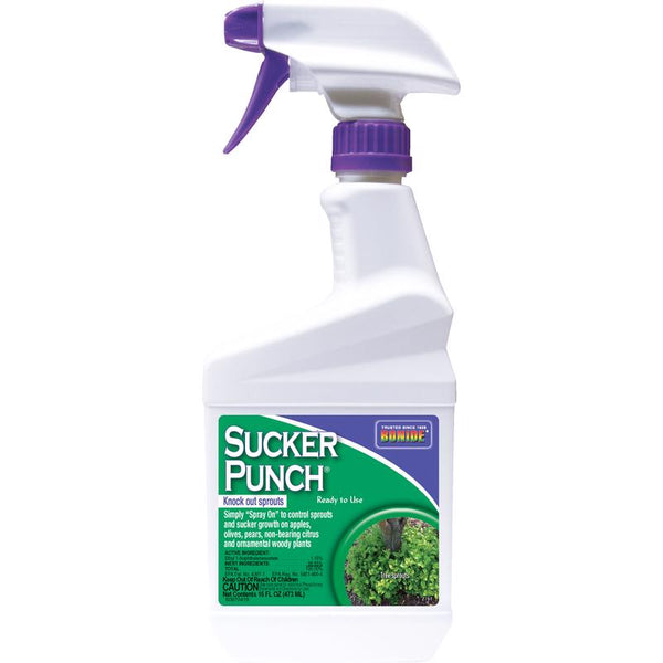 Regulador del crecimiento Bonide Sucker Punch listo para usar, a base de agua, elimina los brotes, 1 pt. - Oferta de la semana