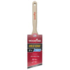 Wooster Gold Edge 2-1/2 In. W Angle Paint Brush - Deal of The Week