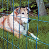 Garden Craft 24 in. H X 50 ft. L Steel Welded Wire Fence 2x3 in.