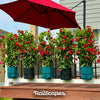 RailScapes Plant Clip Large hooks fit 1.25”-1.5”
