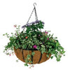 Gardman 8 in. H X 14 in. D Steel Hanging Basket Black