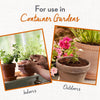 Whitney Farms Organic All Purpose Potting Soil 16 qt