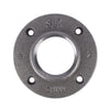 STZ Industries 2 in. FIP each Black Malleable Iron Floor Flange - Open Box