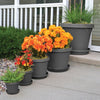 Bloem Terra 10.75 in. H X 13 in. W X 9 in. D Resin Traditional Planter Charcoal - Deal of The Week