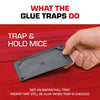 Tomcat Small Glue Trap For Mice 4 pk (Pack of 12)