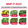 Earth's Ally Weed and Grass Killer RTU Liquid 128 oz (Pack of 4)