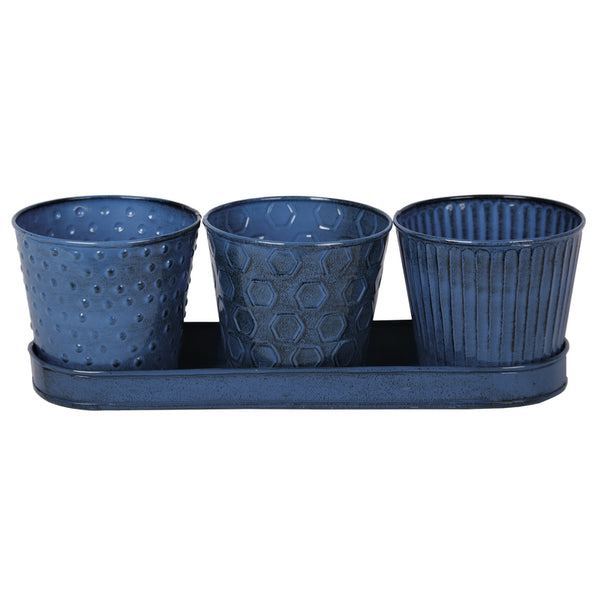 SET DE PLANTAS CNCRD AZUL 3 PIEZAS