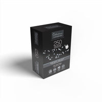 Celebrations LED Big Seed Cluster Pure White 250 ct String Christmas Lights - Open Box