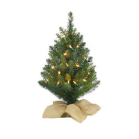 Celebrations 2 ft. Full Incandescent 35 ct Table Tree (Pack of 4)