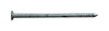 Pro-Fit 2 in. Box Hot-Dipped Galvanized Nail Flat Head 1 lb