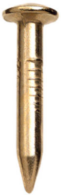 Hillman 1 in. L Bendless Brass-Plated Steel Nail Smooth Shank Oval (Pack of 12)