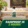 Ortho GroundClear Grass and Weed Killer RTU Liquid 24 oz.