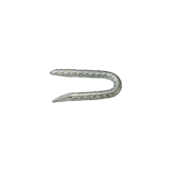Grapas para cercas galvanizadas Grip-Rite de 1-3/4 pulg. de largo, 5 lb (paquete de 6)
