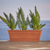 Bloem Dura Cotta 5.75 in. H X 30 in. W X 7.5 in. D Plastic Window Box Terra Cotta - Deal of The Week