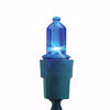 Celebrations LED Mini Multicolored 50 ct String Christmas Lights 12 ft. (Pack of 12)