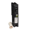 Schneider Electric Usa Inc 1-Pole Fault Plug-In Mount Miniature Circuit Breaker 120V ac 15A