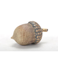 Gerson Harvest Acorn Halloween Decor (Pack of 12)