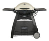 Weber Q3200 2 Burner Liquid Propane Grill Titanium