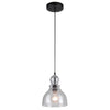 Westinghouse Fiona Oil Rubbed Bronze Clear 1 lights Mini Pendant Light - Open Box