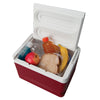 Igloo Legend 12 Cans Capacity Red/White Plastic Reusable Cooler