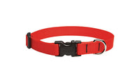 Lupine Pet Basic Solids Red Red Nylon Dog Adjustable Collar