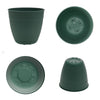 Bloem Dayton 7.5 in. H X 8 in. D Plastic Transitional Planter Turtle Green