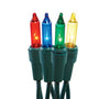 Celebrations Mini Incandescent Light Set Multicolored 20.625 ft. 100 lights Green (Pack of 24)