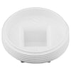 Charlotte Pipe Schedule 40 3 in. MPT PVC Clean-Out Plug 1 pk