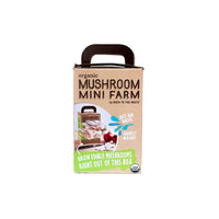 Back to the Roots All Season Fresh Windowsill Garden Organic Mushroom Mini Farm