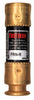 Bussmann 30 amps Dual Element Time Delay Fuse 2 pk