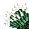 Celebrations Mini Incandescent Light Set Clear 62 ft. 300 lights Green