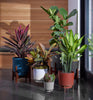 Bloem Hopson 12 in. H x 10 in. Dia. Resin Metal Stand Planter White